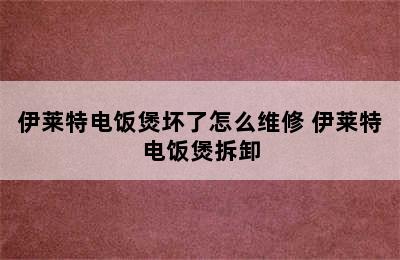 伊莱特电饭煲坏了怎么维修 伊莱特电饭煲拆卸